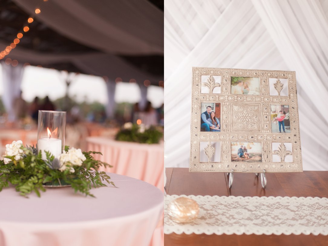 The Columns in Bolivar & Falcon Ridge Farm Wedding reception 2