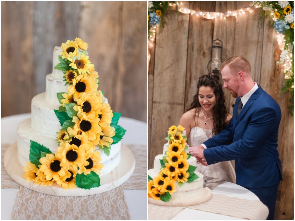 Green Frog Farms Wedding 046