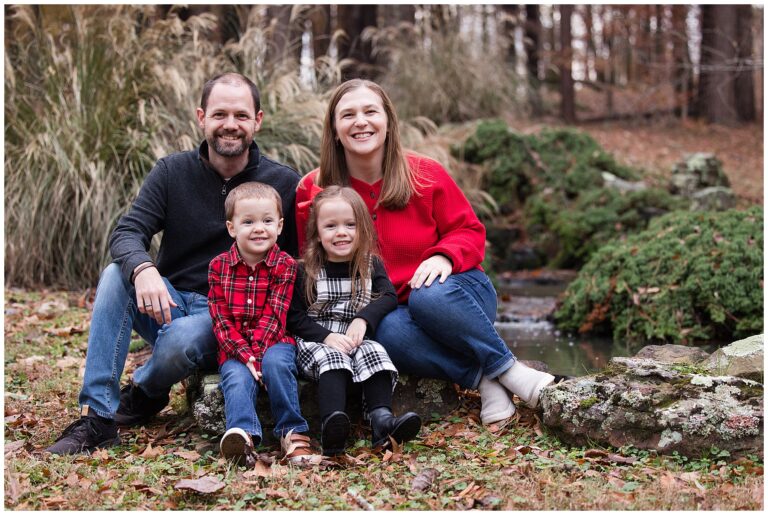 jackson tn family photographer